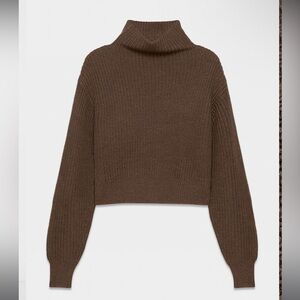 Aritzia Brown Turtleneck Sweater